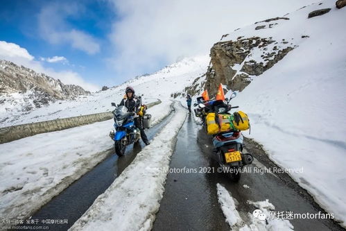 將摩旅進行到底 FIRM